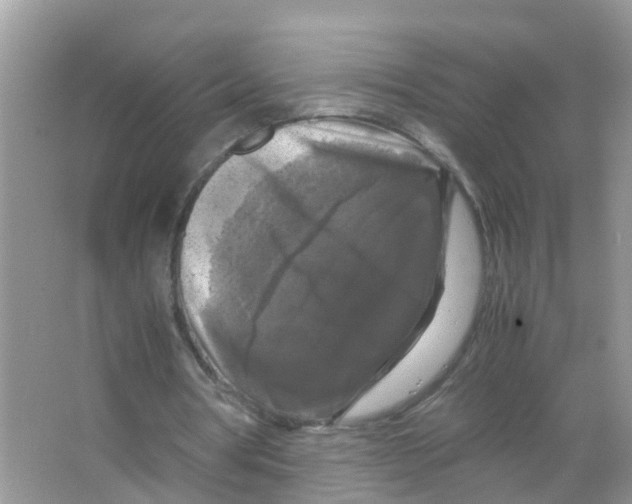 X0000066000386200603312002