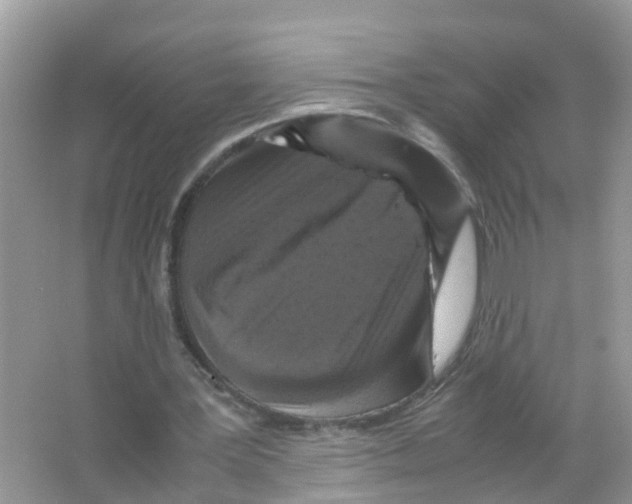 X0000066000387200603312002
