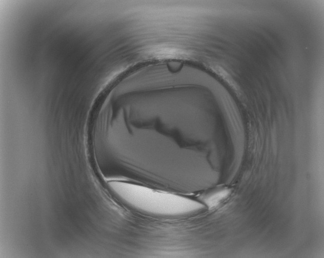 X0000066000391200603312002