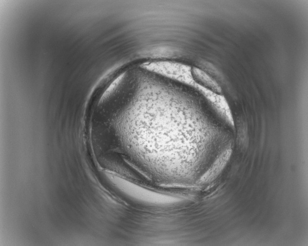 X0000066000392200603312002