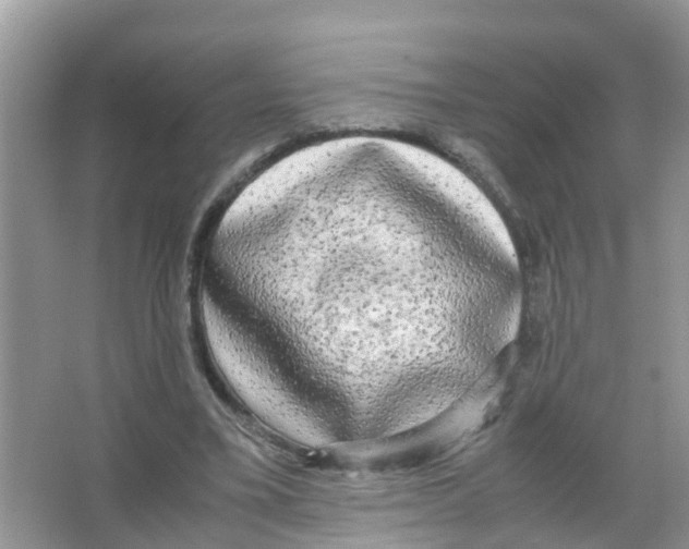 X0000066000395200603312002