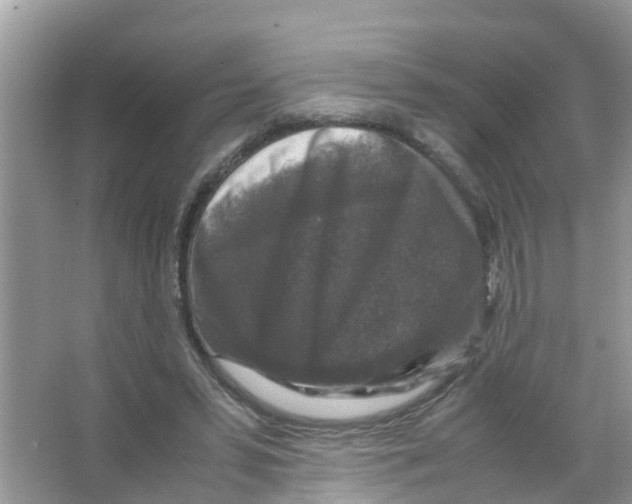 X0000066000399200603312002