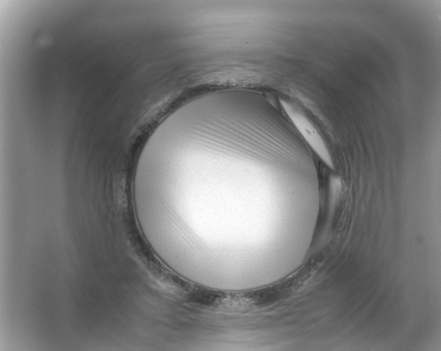 X0000066000403200603312002