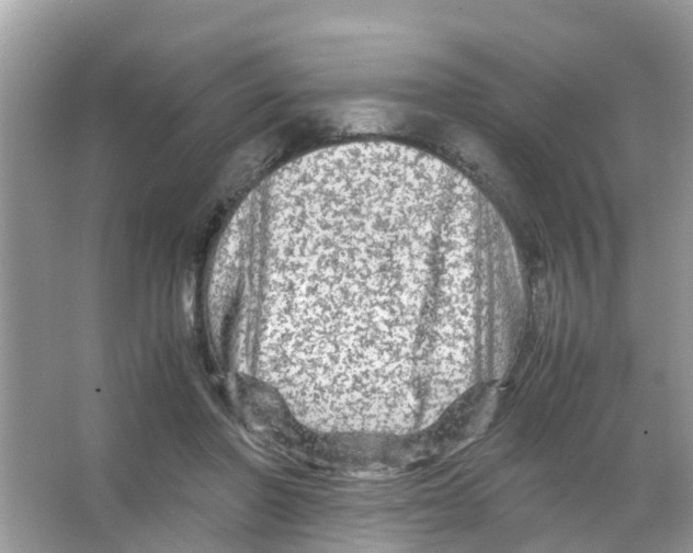 X0000066000406200603312002