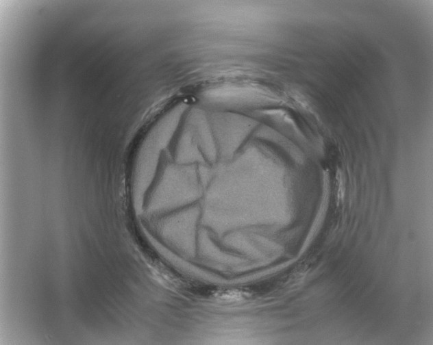 X0000066000407200603312002