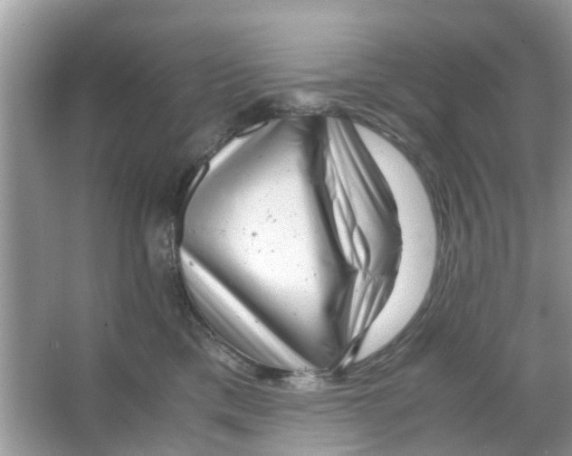 X0000066000425200603312002