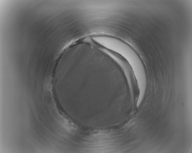 X0000066000434200603312001