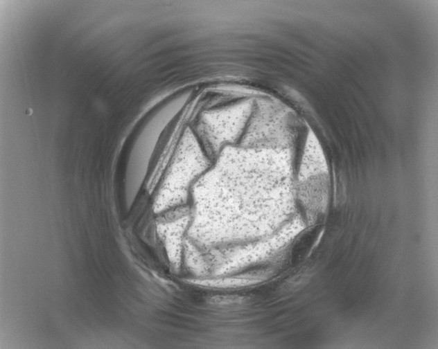 X0000066000435200603312001