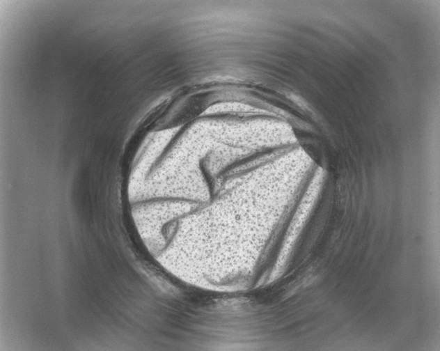 X0000066000446200603312001