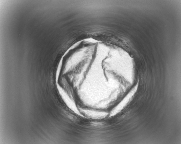 X0000066000457200603312001