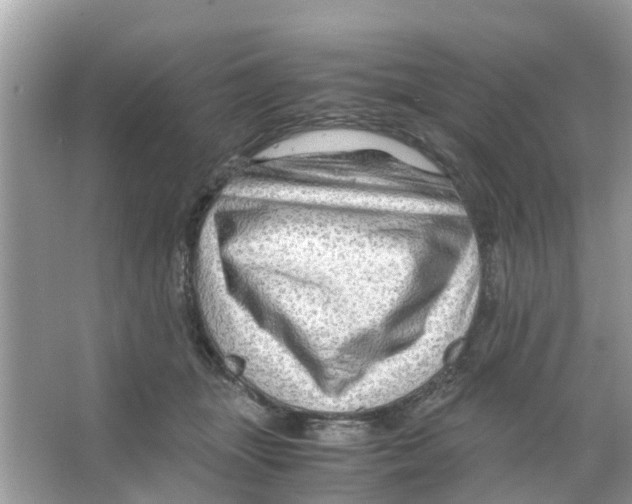 X0000066000463200603312001