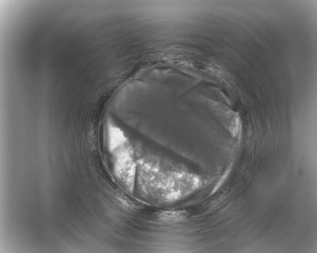 X0000066000465200603312001
