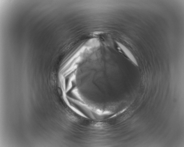 X0000066000467200603312001