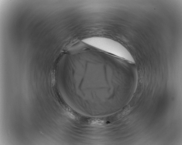 X0000066000471200603312001