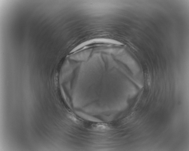 X0000066000475200603312001