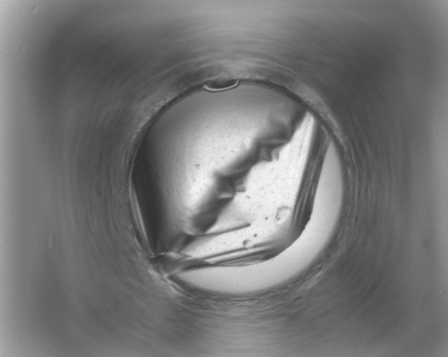 X0000066000481200603312001
