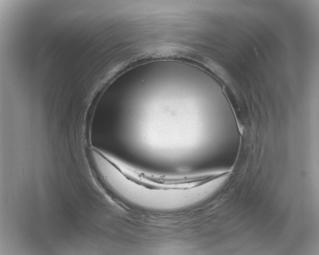 X0000066000485200603312001
