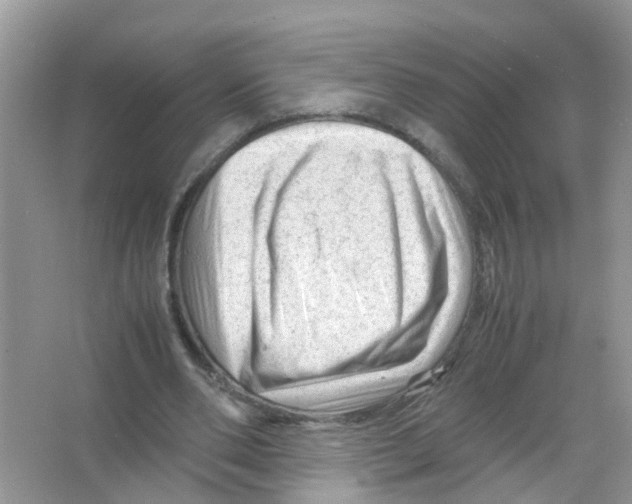 X0000066000486200603312001