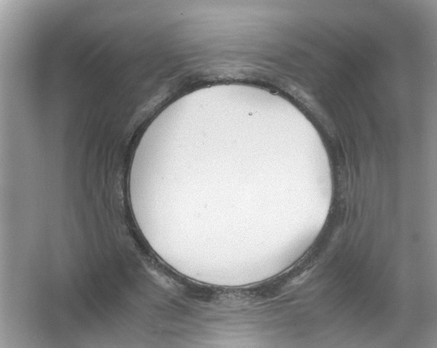 X0000066000489200603312001