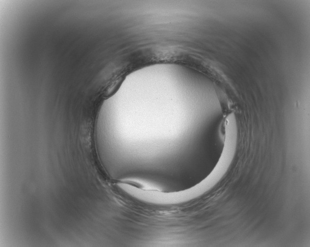 X0000066000505200603312000
