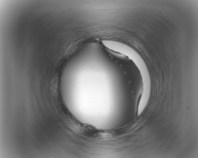 X0000066000509200603312000