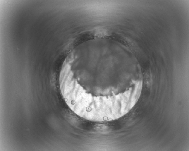 X0000066000519200603312000