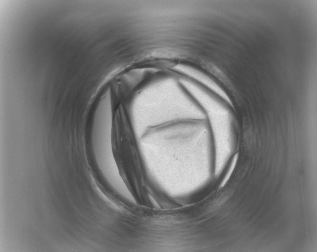 X0000066000530200603311959