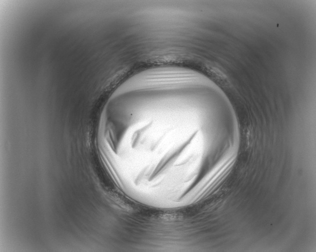 X0000066000546200603311959