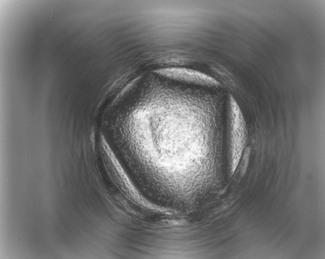 X0000066000552200603312000
