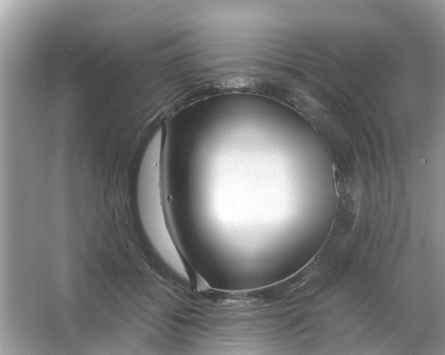 X0000066000556200603312000