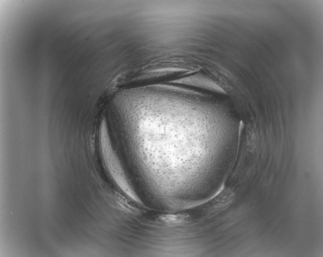 X0000066000558200603312000