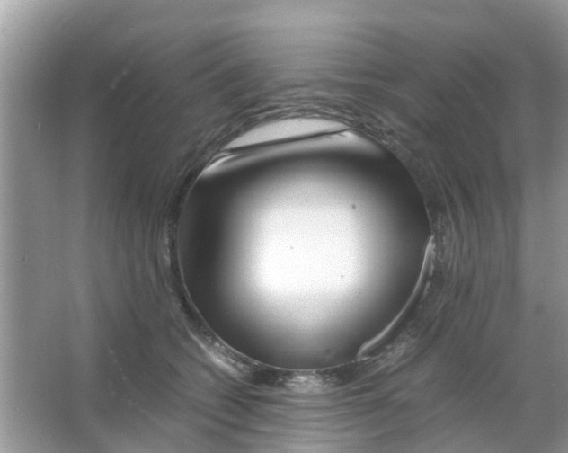 X0000066000562200603312000