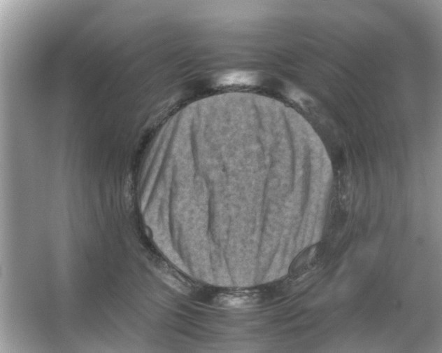 X0000066000563200603312000