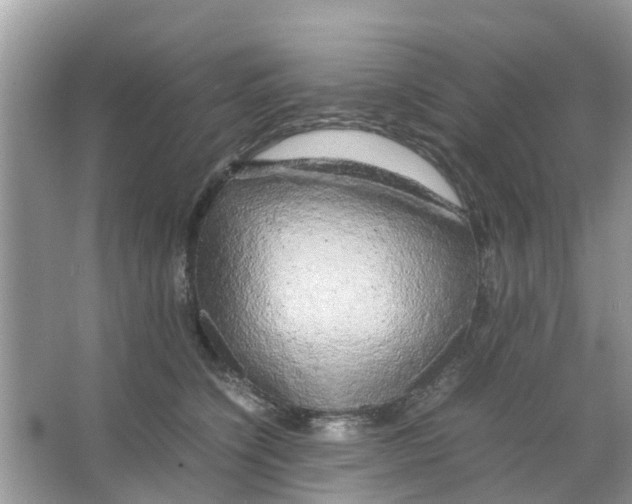 X0000066000564200603312000
