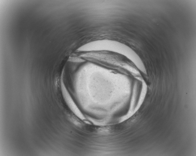 X0000066000574200603312000