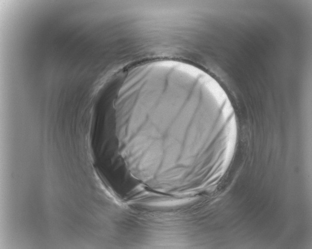 X0000066000577200603311959