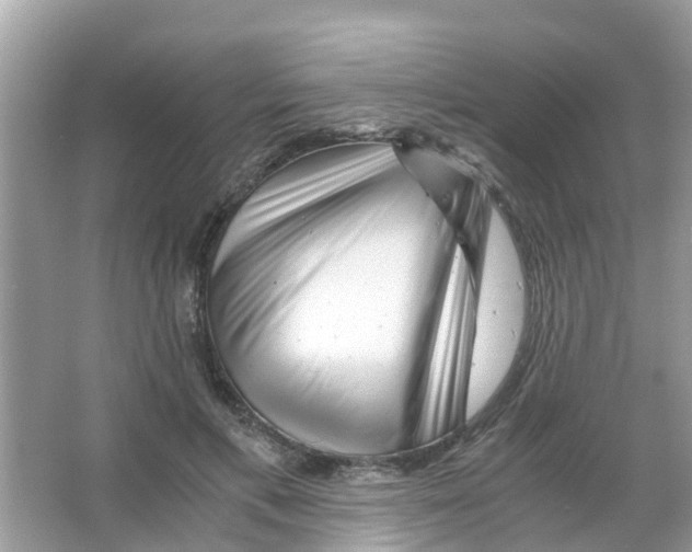 X0000066000597200603311959