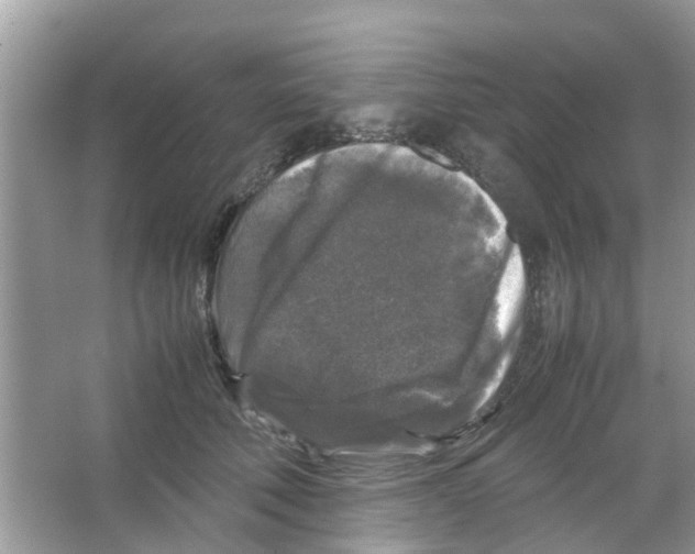 X0000066000610200603311959