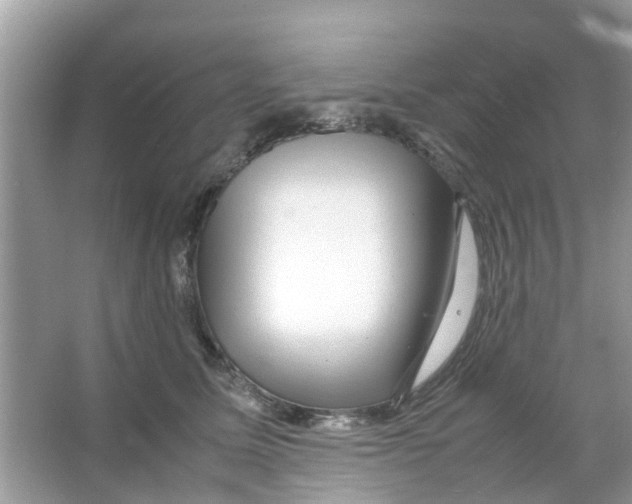 X0000066000611200603311959