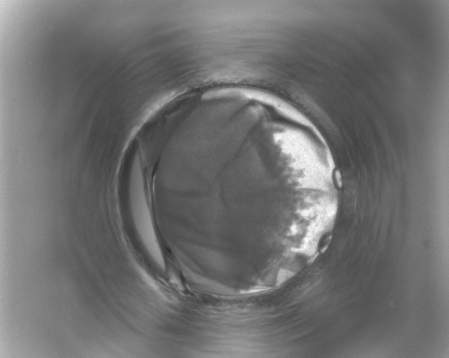 X0000066000626200603311958