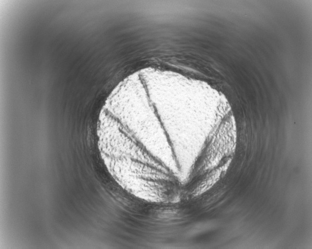 X0000066000651200603311958