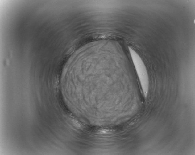 X0000066000657200603311958