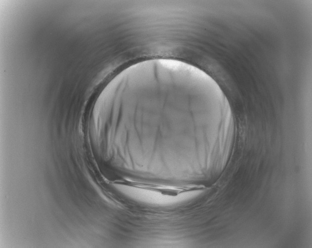 X0000066000674200603311957