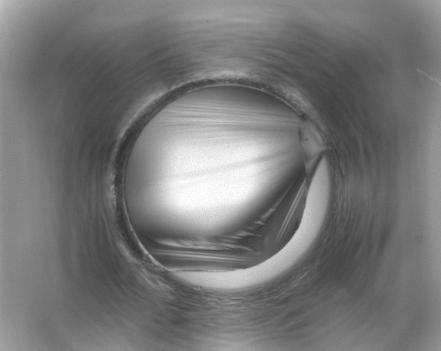 X0000066000676200603311957