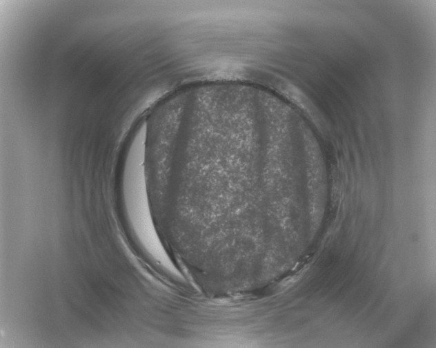 X0000066000677200603311957