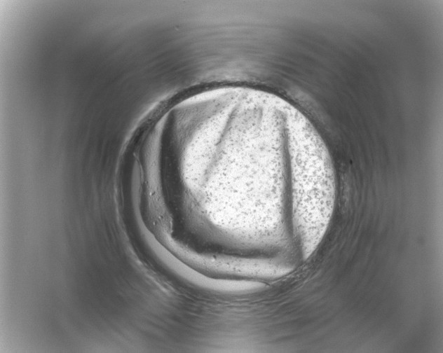X0000066000680200603311957