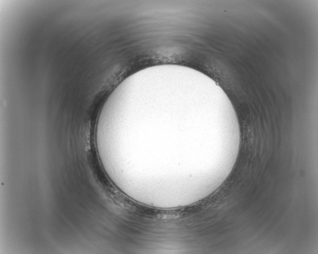 X0000066000694200603311957