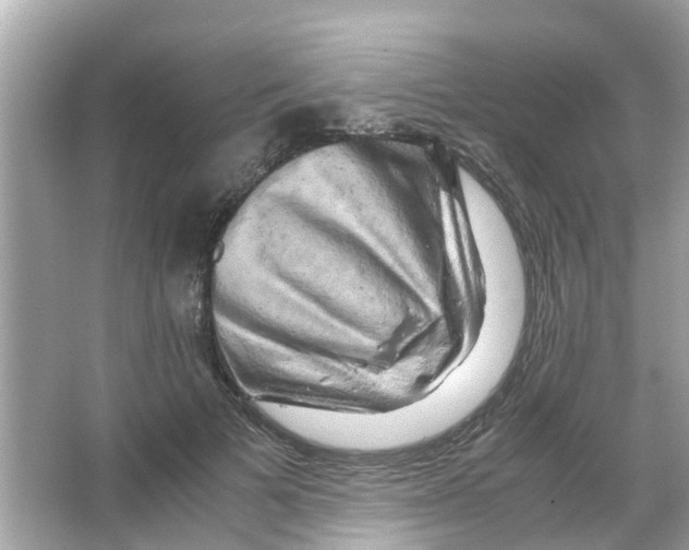 X0000066000697200603311957