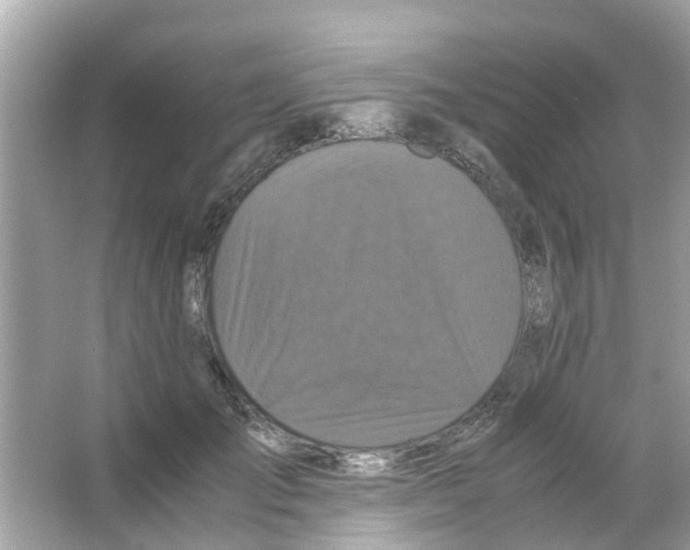 X0000066000701200603311957