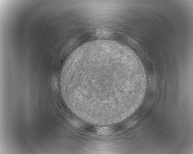 X0000066000705200603311957